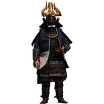 HiPlay 101TOYS 1/6 クラシックシリーズ 武士 可動フィギュア 塗装済み 完成品 アクションフィギュア
