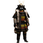 HiPlay 101TOYS 1/6 クラシックシリーズ 武士 可動フィギュア 塗装済み 完成品 アクションフィギュア
