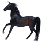 HiPlay Mr.Z 1/6 天猛星 霹靂火 秦明 DT004 可動フィギュア 塗装済み 完成品 アクションフィギュア