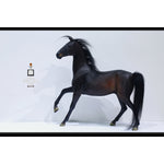 HiPlay Mr.Z 1/6 天猛星 霹靂火 秦明 DT004 可動フィギュア 塗装済み 完成品 アクションフィギュア