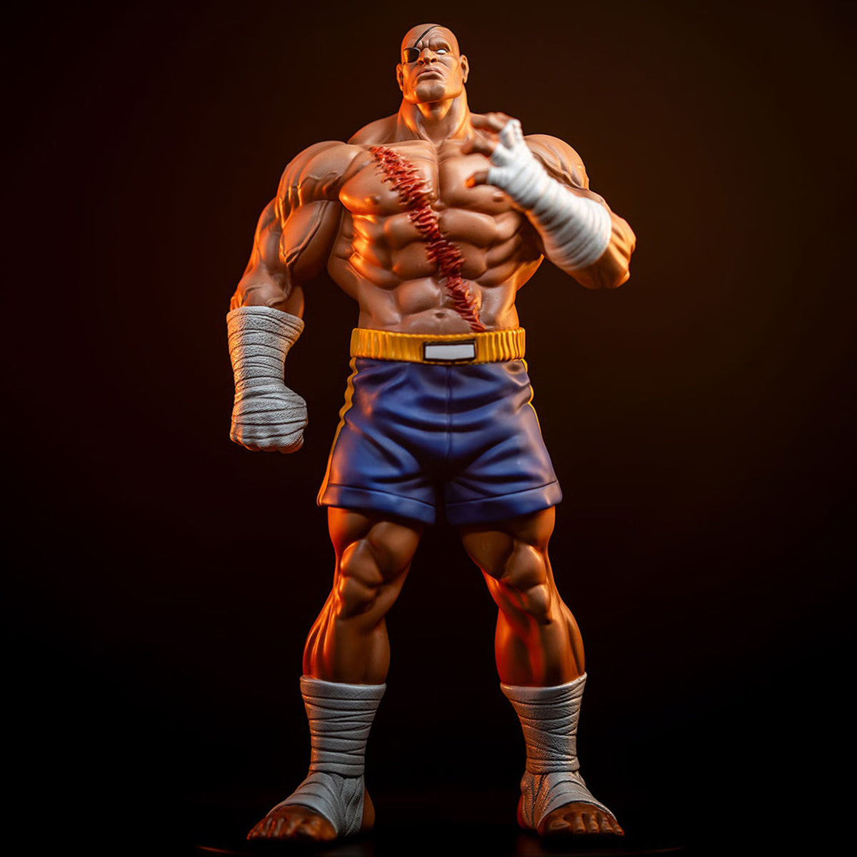 Sideshow x PCS 1/10 ストリートファイター サガット ＆ ユーリ 915331