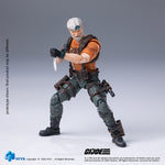 HIYA 1/18 G.I.Joe 内陸 タイガーパワー版 EMG0478 アクションフィギュア 塗装済み 完成品
