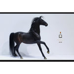 HiPlay Mr.Z 1/6 天猛星 霹靂火 秦明 DT004 可動フィギュア 塗装済み 完成品 アクションフィギュア