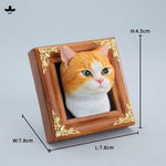 HiPlay JXK&small ニャンコ顔ミュージアム 温かい瞳の田園猫 塗装済み完成品フィギュア