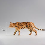 HiPlay 小爪手作 x Double one 1/6 ベンガル 塗装済み完成品フィギュア 動物スタチュー