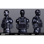 DAMTOYS 1/6 Vertexarms Order Series 2 タクティカル ロープロファイル プレートキャリア システム 男性 フィギュア用 アクセサリー 付属品