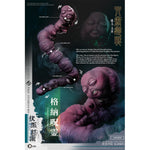 HiPlay ASMUS TOYS（アスモストイズ） 1/6スケール 『呪術廻戦』 伏黒甚爾（ふしぐろ とうじ） JJKS203A 可動フィギュア 塗装済み 完成品