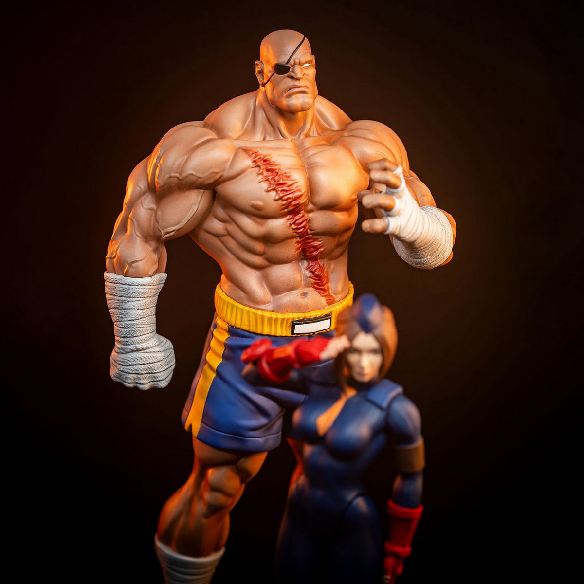 Sideshow x PCS 1/10 ストリートファイター サガット ＆ ユーリ 915331