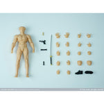 HiPlay 馳野スタジオ 1/12 可動男素体 関節素体 ボディ フィギュア 細マッチョ体型 超可動