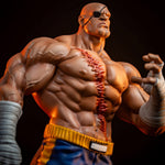 Sideshow x PCS 1/10 ストリートファイター サガット ＆ ユーリ 915331
