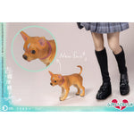 HiPlay ASMUS TOYS 1/6 吉備津桃子 冬服版 GC002W 可動フィギュア 塗装済み 完成品 ボディ