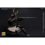 HiPlay 101TOYS 1/6 クラシックシリーズ 武士 可動フィギュア 塗装済み 完成品 アクションフィギュア