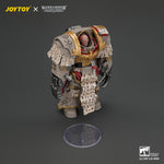 JOYTOY 1/18 ワード・ベアラー コル・ファエロン JT05374